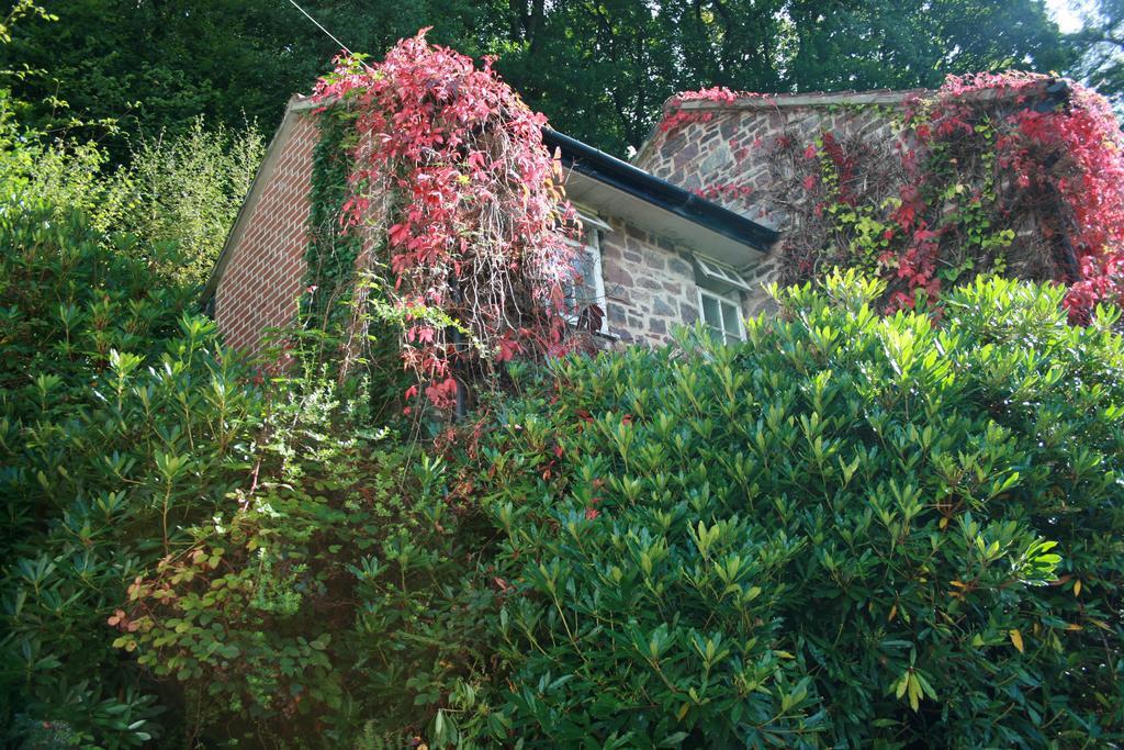 The Bark House Hotel Tiverton  Exterior photo
