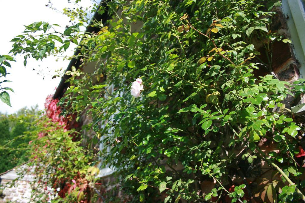 The Bark House Hotel Tiverton  Exterior photo